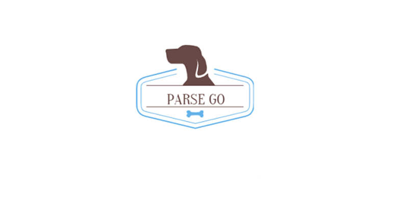 Parse GO，去水印、批量下载各大平台“小姐姐”短视频！ | i3综合社区