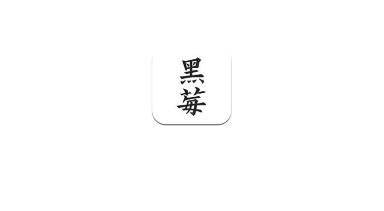 黑莓浏览器APP_v1.9.8，内置必应镜像的chatgpt和小说自适应功能！ | i3综合社区