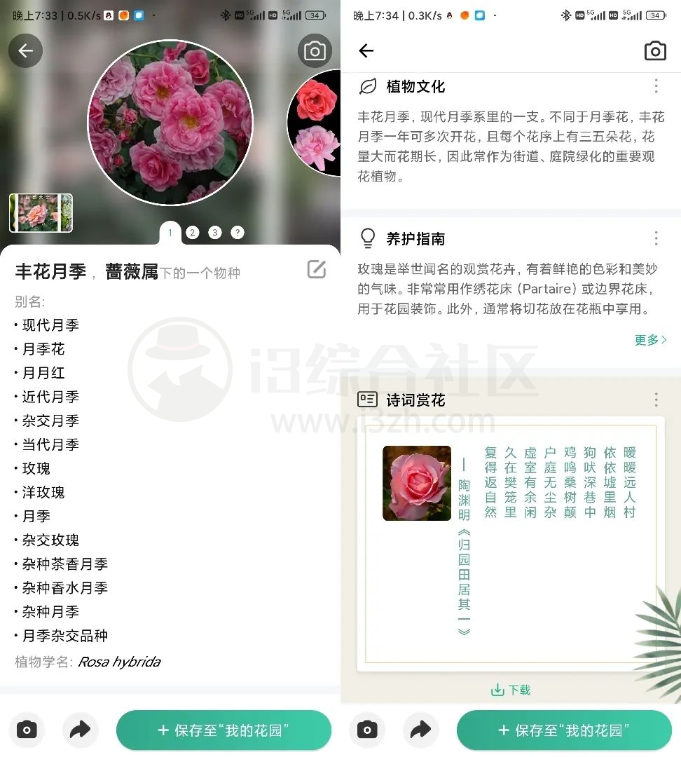 图片[5] | PictureThis植物识别v3.60破解版、Now正念冥想v4.5.8破解版！ | i3综合社区