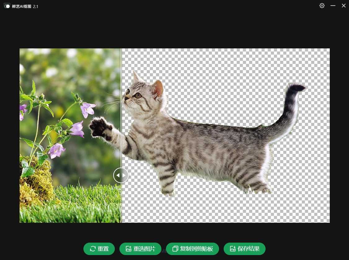 鲜艺AI抠图v2.1，智能一键抠图，快至毫秒级！