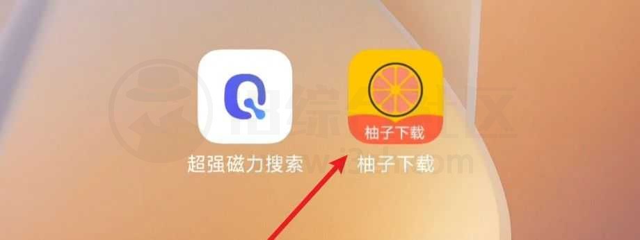 图片[4] | 超强磁力搜索、柚子下载App，吊打迅雷你信么？ | i3综合社区