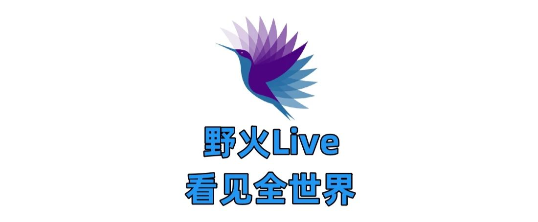 图片[1] | 野火Live_5.9.5最新版，全球各地的直播都有，海外及港台！ | i3综合社区